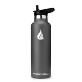 Graphite 24oz Standard