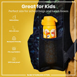 Leak Proof Slim Water Bottle, Stainless Steel, Giraffes, 20oz